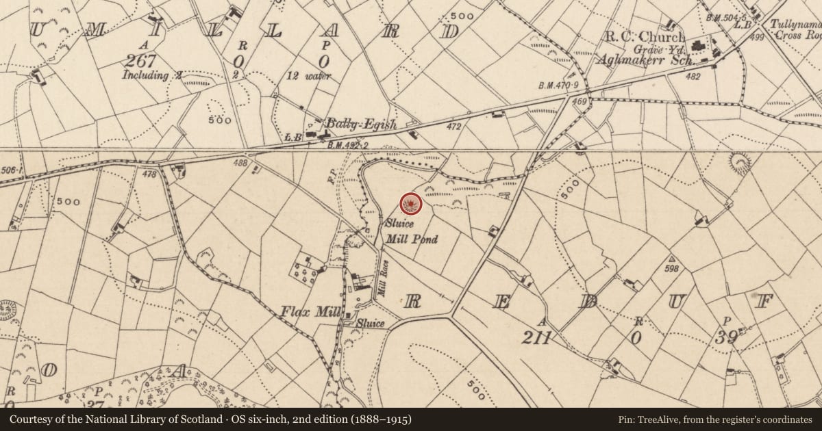 Ordnance Survey six-inch map, 2nd edition (1888–1915) covering the location of Barrow - ring-barrow, Reduff, County Monaghan, with a pin at the register's coordinates
