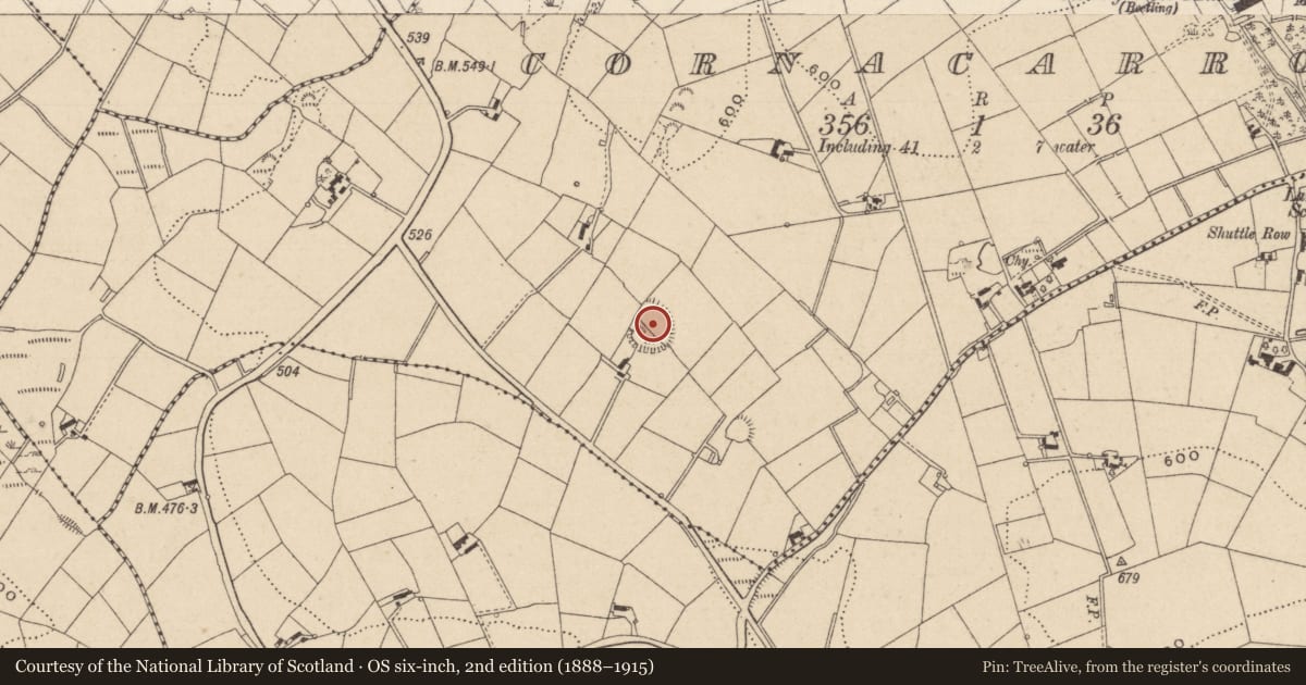 Ordnance Survey six-inch map, 2nd edition (1888–1915) covering the location of Ringfort - rath, Cornacarrow, County Monaghan, with a pin at the register's coordinates