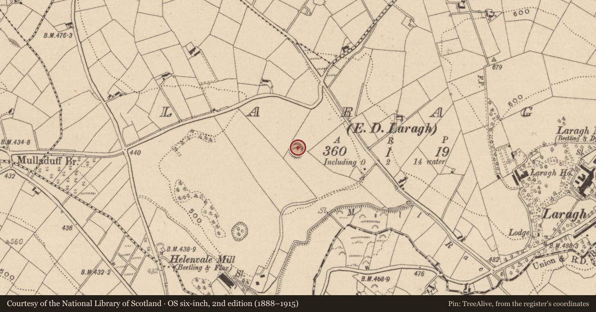 Ordnance Survey six-inch map, 2nd edition (1888–1915) covering the location of Ringfort - rath, Laragh (Cremorne By., Aghnamullen), County Monaghan, with a pin at the register's coordinates