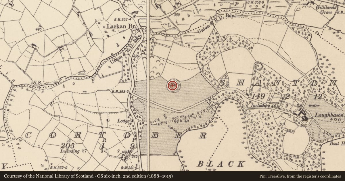 Ordnance Survey six-inch map, 2nd edition (1888–1915) covering the location of Ringfort - rath, Cortober, County Monaghan, with a pin at the register's coordinates