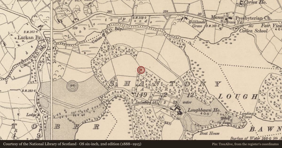 Ordnance Survey six-inch map, 2nd edition (1888–1915) covering the location of Ringfort - rath, Shantony, County Monaghan, with a pin at the register's coordinates
