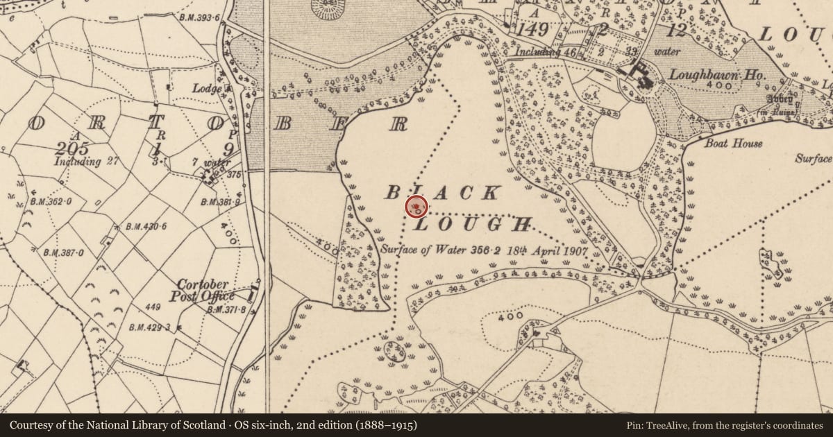 Ordnance Survey six-inch map, 2nd edition (1888–1915) covering the location of Crannog, Lisinisky, Shantony, County Monaghan, with a pin at the register's coordinates