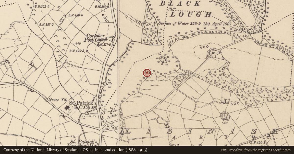 Ordnance Survey six-inch map, 2nd edition (1888–1915) covering the location of Crannog, Lisinisky, County Monaghan, with a pin at the register's coordinates