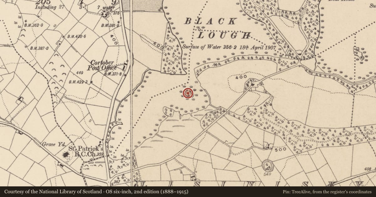 Ordnance Survey six-inch map, 2nd edition (1888–1915) covering the location of Crannog, Lisinisky, County Monaghan, with a pin at the register's coordinates