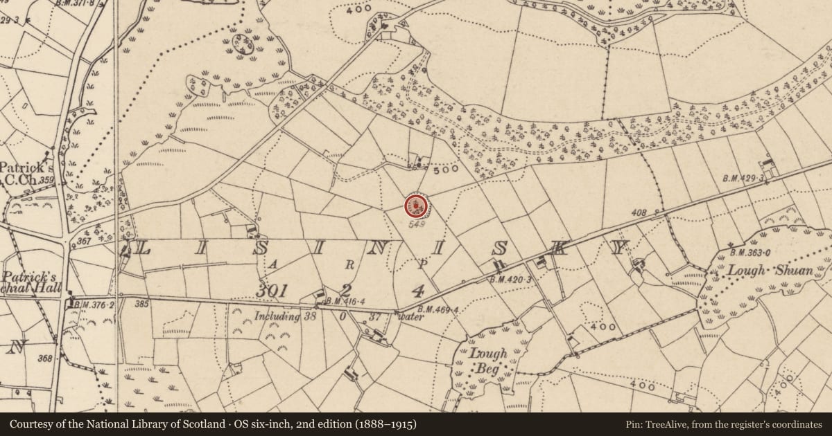 Ordnance Survey six-inch map, 2nd edition (1888–1915) covering the location of Ringfort - rath, Lisinisky, County Monaghan, with a pin at the register's coordinates