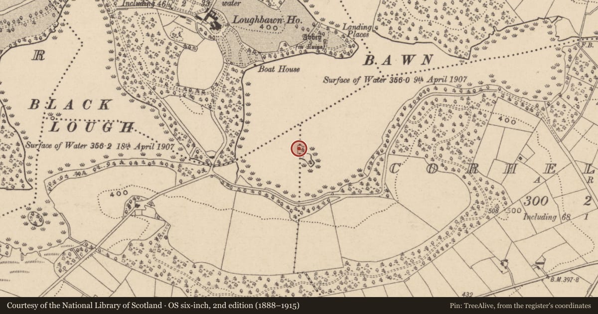 Ordnance Survey six-inch map, 2nd edition (1888–1915) covering the location of Crannog, Corhelshinagh, County Monaghan, with a pin at the register's coordinates