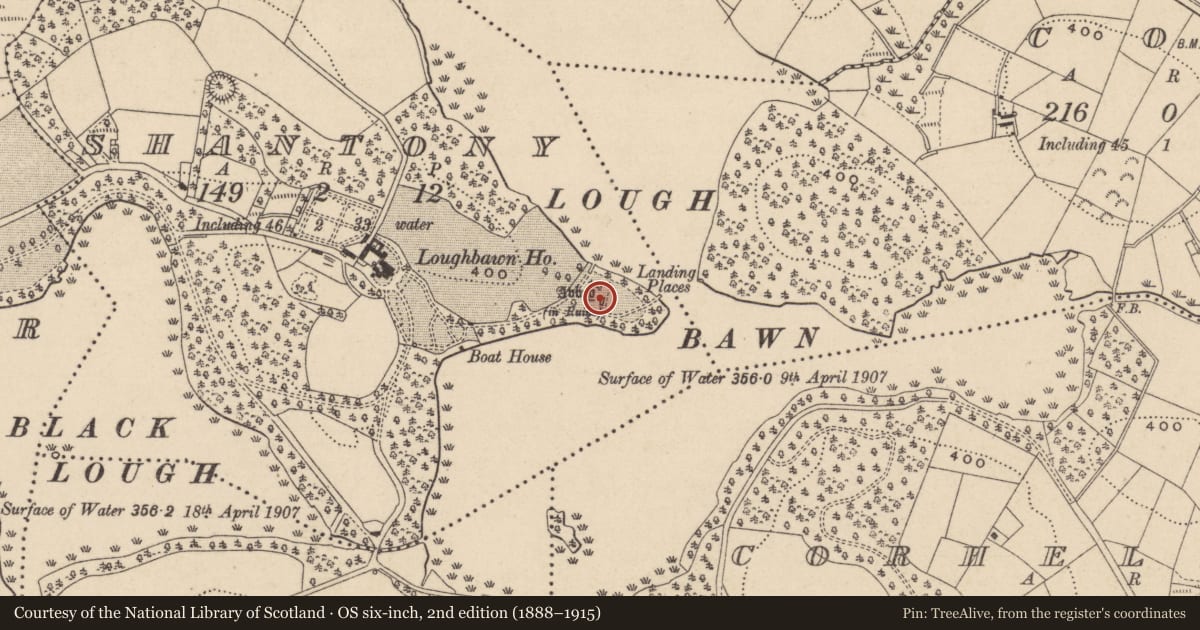 Ordnance Survey six-inch map, 2nd edition (1888–1915) covering the location of House - 17th century, Shantony, County Monaghan, with a pin at the register's coordinates
