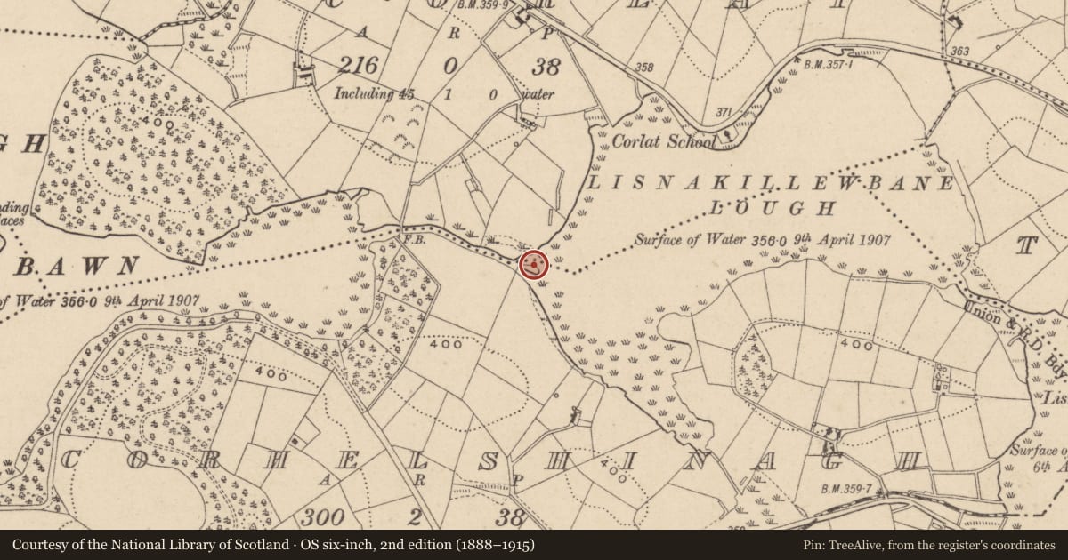 Ordnance Survey six-inch map, 2nd edition (1888–1915) covering the location of Crannog, Corhelshinagh, County Monaghan, with a pin at the register's coordinates