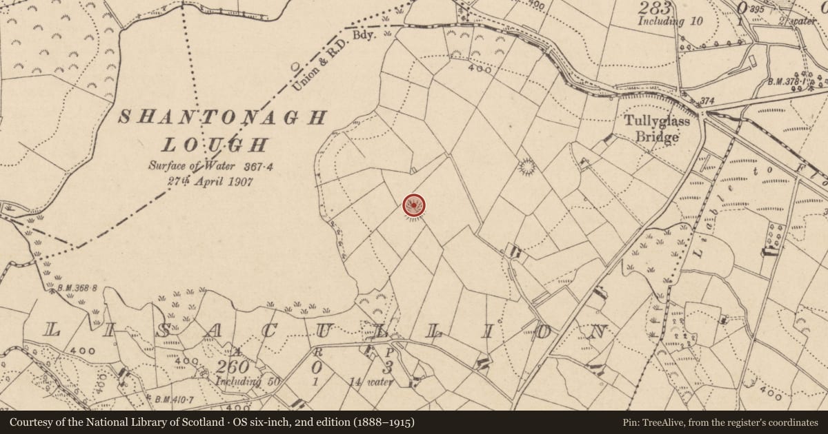 Ordnance Survey six-inch map, 2nd edition (1888–1915) covering the location of Ringfort - rath, Lisacullion, County Monaghan, with a pin at the register's coordinates