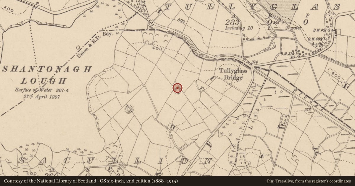 Ordnance Survey six-inch map, 2nd edition (1888–1915) covering the location of Ringfort - rath, Lisacullion, County Monaghan, with a pin at the register's coordinates