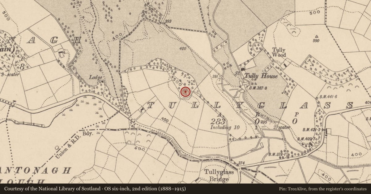 Ordnance Survey six-inch map, 2nd edition (1888–1915) covering the location of Ringfort - rath, Tullyglass, County Monaghan, with a pin at the register's coordinates