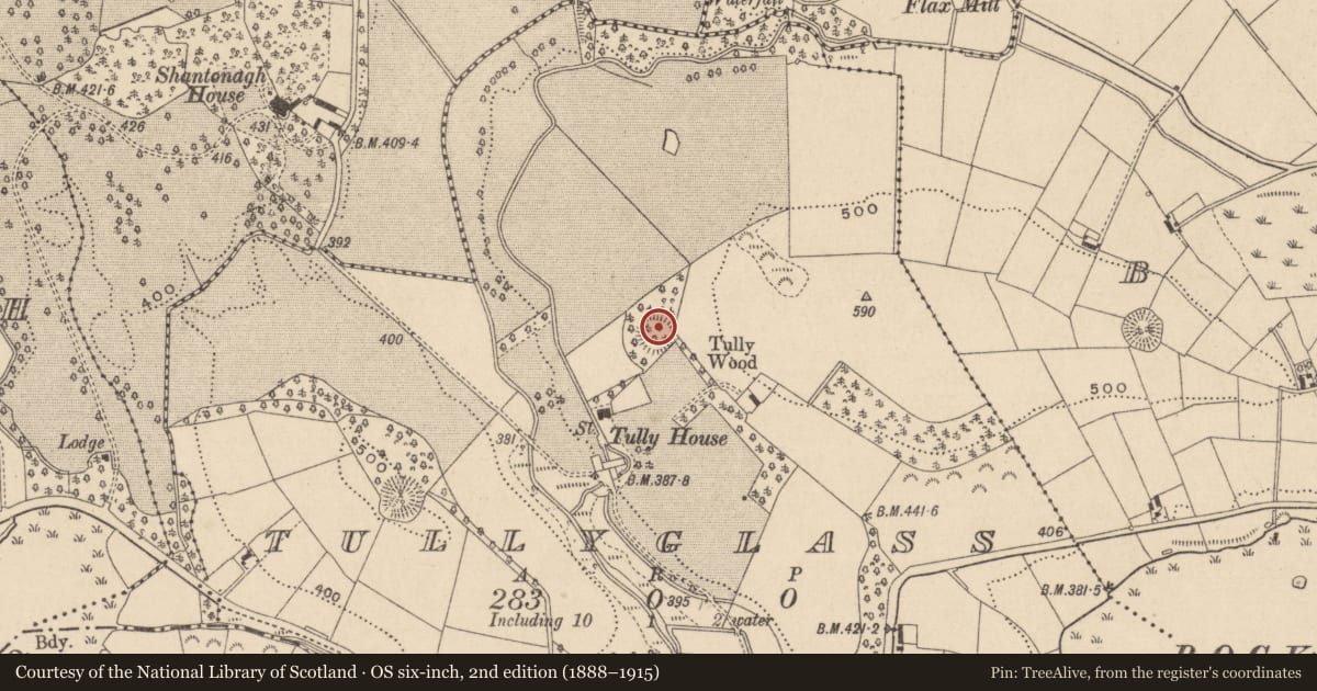 Ordnance Survey six-inch map, 2nd edition (1888–1915) covering the location of Ringfort - rath, Tullyglass, County Monaghan, with a pin at the register's coordinates