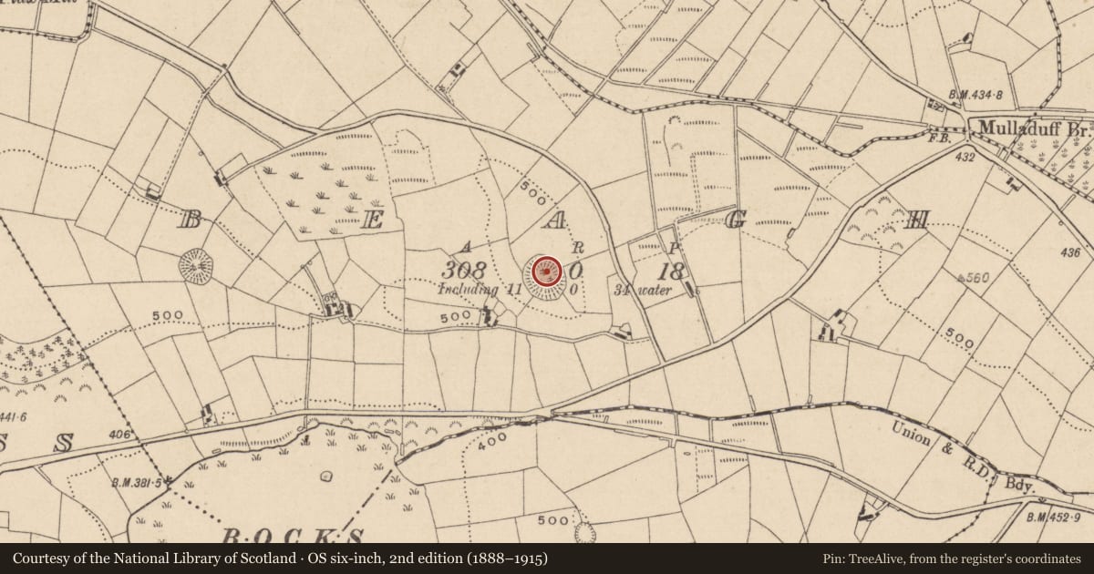 Ordnance Survey six-inch map, 2nd edition (1888–1915) covering the location of Ringfort - rath, Beagh, County Monaghan, with a pin at the register's coordinates