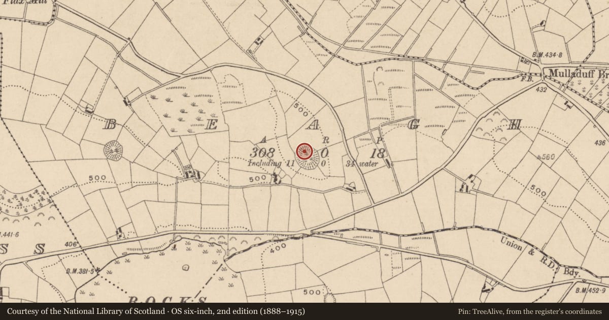 Ordnance Survey six-inch map, 2nd edition (1888–1915) covering the location of Souterrain, Beagh, County Monaghan, with a pin at the register's coordinates