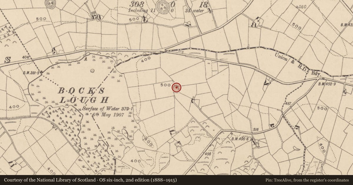 Ordnance Survey six-inch map, 2nd edition (1888–1915) covering the location of Ringfort - rath, Bocks Lower, County Monaghan, with a pin at the register's coordinates