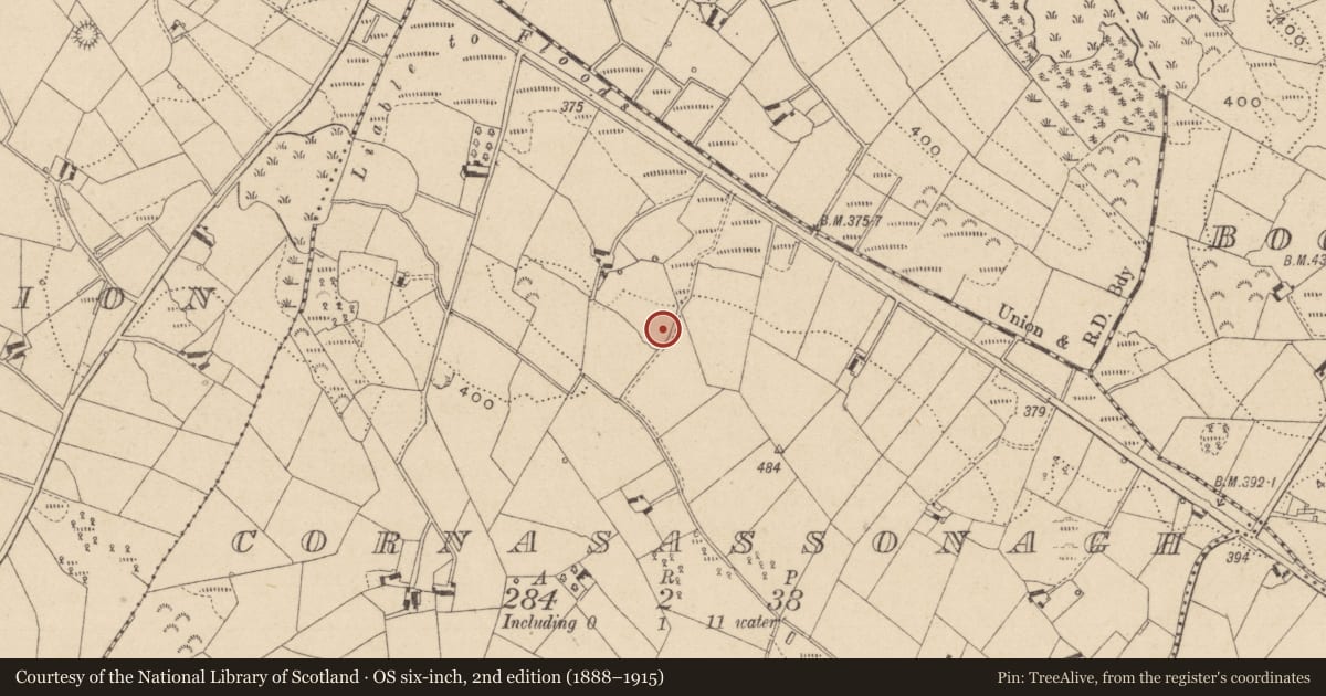 Ordnance Survey six-inch map, 2nd edition (1888–1915) covering the location of Ringfort - rath, Cornasassonagh, County Monaghan, with a pin at the register's coordinates