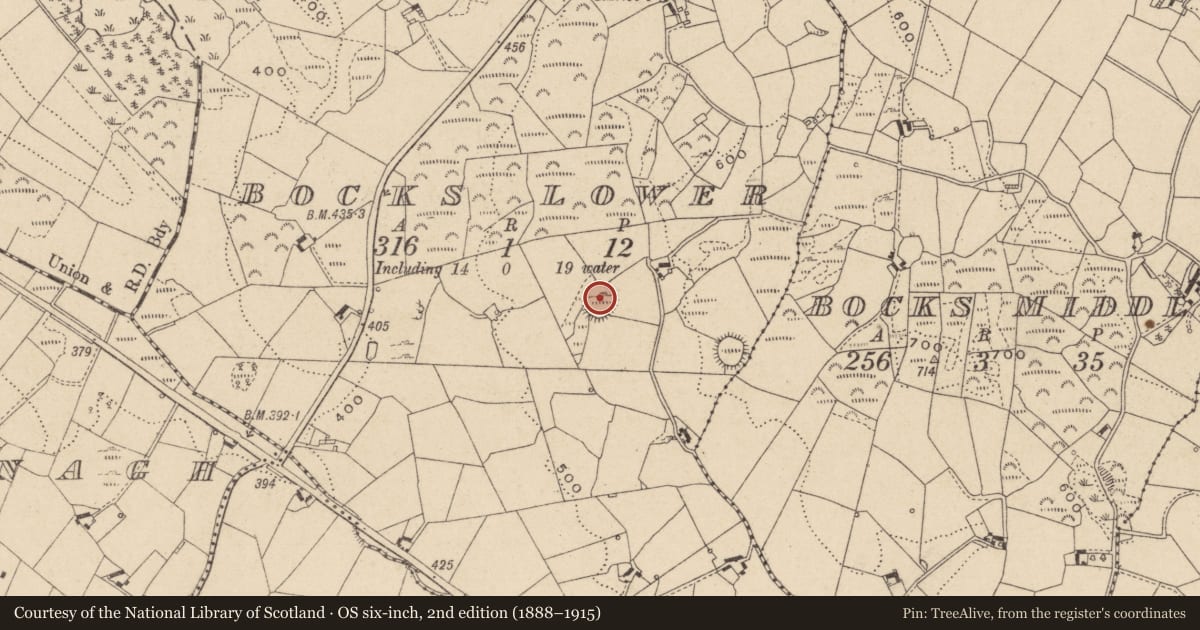 Ordnance Survey six-inch map, 2nd edition (1888–1915) covering the location of Ringfort - cashel, Bocks Lower, County Monaghan, with a pin at the register's coordinates