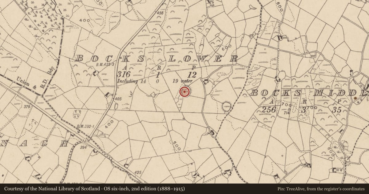 Ordnance Survey six-inch map, 2nd edition (1888–1915) covering the location of Souterrain, Bocks Lower, County Monaghan, with a pin at the register's coordinates