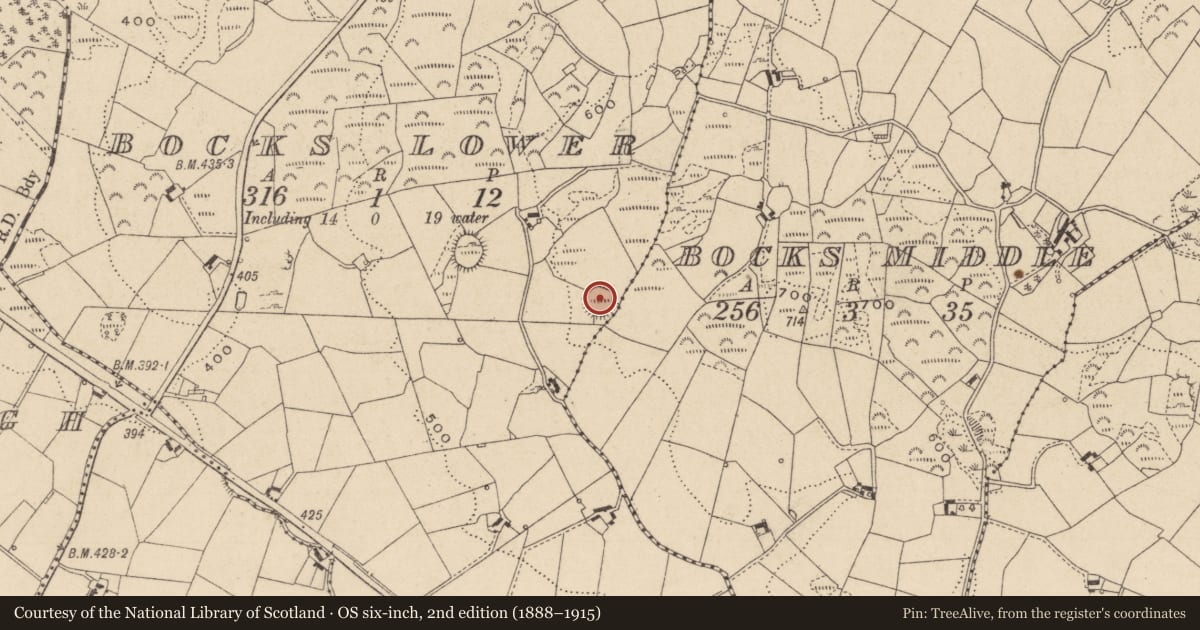 Ordnance Survey six-inch map, 2nd edition (1888–1915) covering the location of Ringfort - rath, Bocks Lower, County Monaghan, with a pin at the register's coordinates