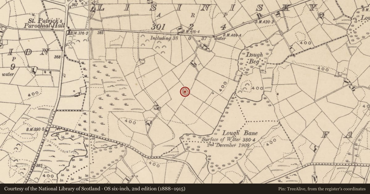 Ordnance Survey six-inch map, 2nd edition (1888–1915) covering the location of Ringfort - rath, Lisinisky, County Monaghan, with a pin at the register's coordinates