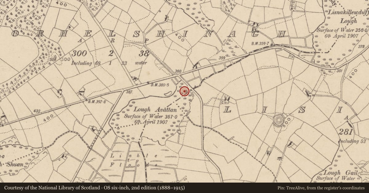 Ordnance Survey six-inch map, 2nd edition (1888–1915) covering the location of Crannog, Corhelshinagh, County Monaghan, with a pin at the register's coordinates