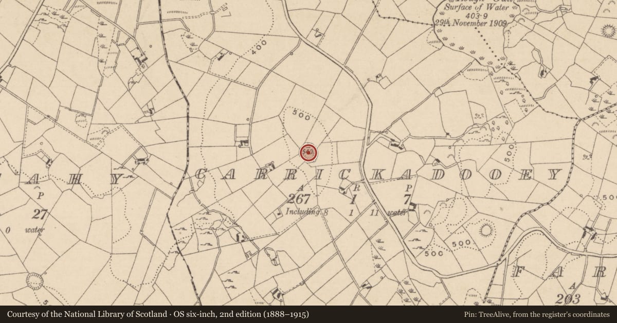 Ordnance Survey six-inch map, 2nd edition (1888–1915) covering the location of Ringfort - rath, Carrickadooey, County Monaghan, with a pin at the register's coordinates