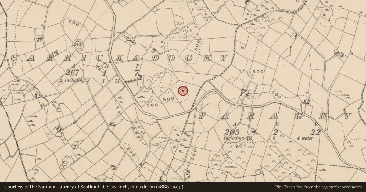 Ordnance Survey six-inch map, 2nd edition (1888–1915) covering the location of Ringfort - rath, Carrickadooey, County Monaghan, with a pin at the register's coordinates