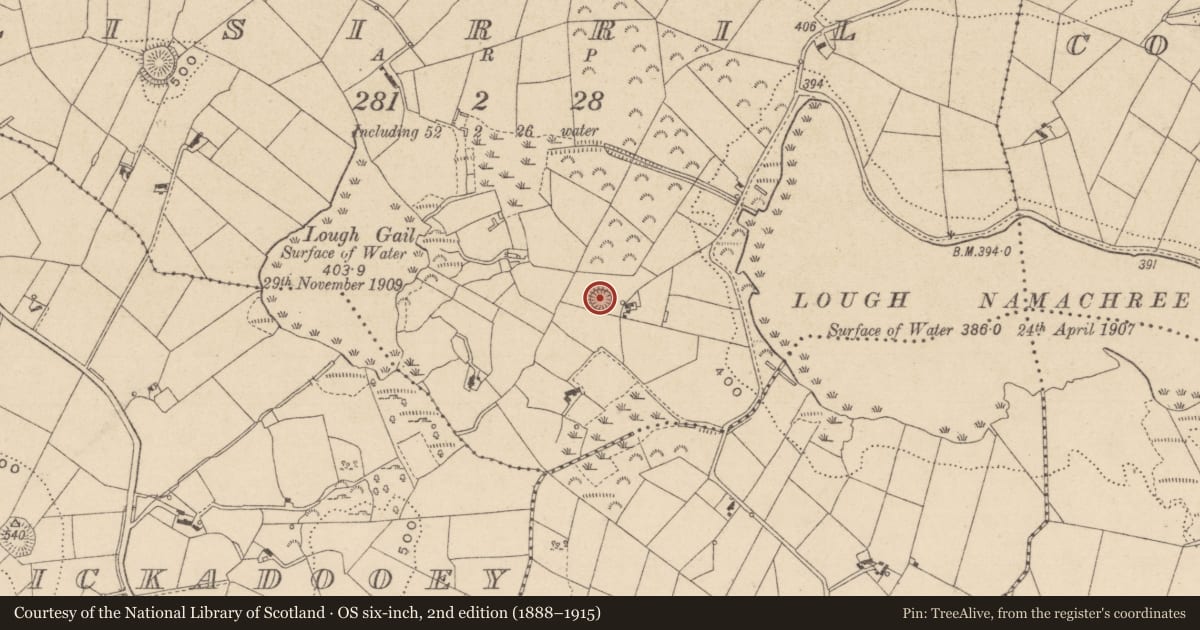 Ordnance Survey six-inch map, 2nd edition (1888–1915) covering the location of Ringfort - rath, Lisirril, County Monaghan, with a pin at the register's coordinates