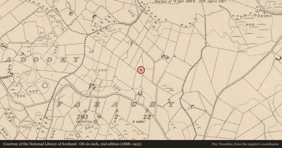 Ordnance Survey six-inch map, 2nd edition (1888–1915) covering the location of Ringfort - rath, Faraghy, County Monaghan, with a pin at the register's coordinates