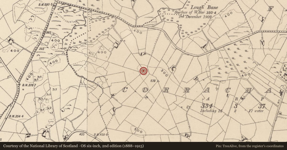 Ordnance Survey six-inch map, 2nd edition (1888–1915) covering the location of Ringfort - rath, Corracharra, County Monaghan, with a pin at the register's coordinates