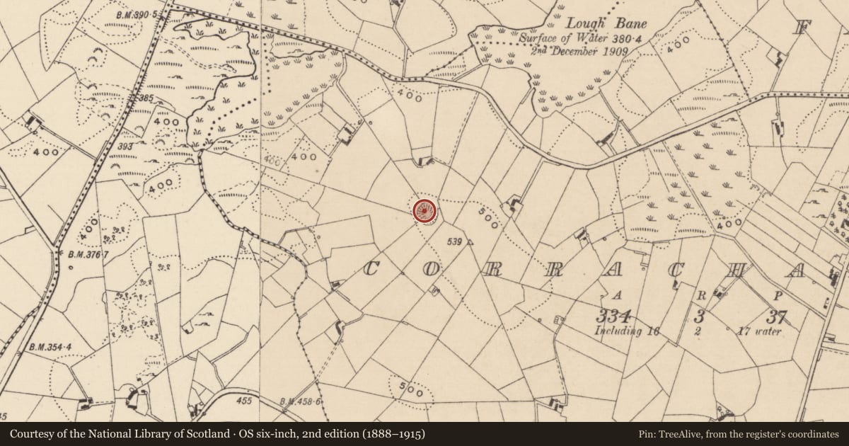 Ordnance Survey six-inch map, 2nd edition (1888–1915) covering the location of Souterrain, Corracharra, County Monaghan, with a pin at the register's coordinates