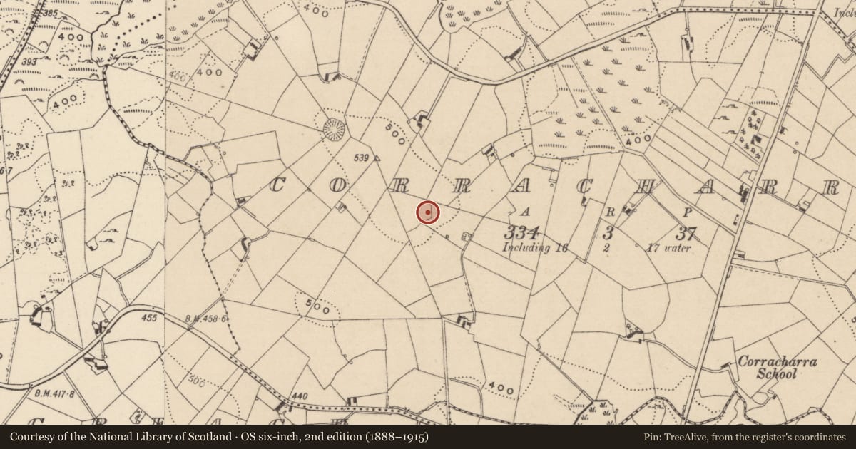 Ordnance Survey six-inch map, 2nd edition (1888–1915) covering the location of Ringfort - rath, Corracharra, County Monaghan, with a pin at the register's coordinates