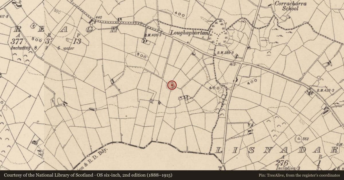 Ordnance Survey six-inch map, 2nd edition (1888–1915) covering the location of Ringfort - rath, Corgreagh, County Monaghan, with a pin at the register's coordinates