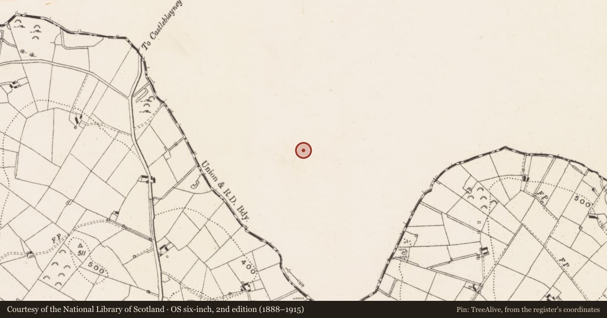 Ordnance Survey six-inch map, 2nd edition (1888–1915) covering the location of Ringfort - rath, Lisnadarragh, County Monaghan, with a pin at the register's coordinates