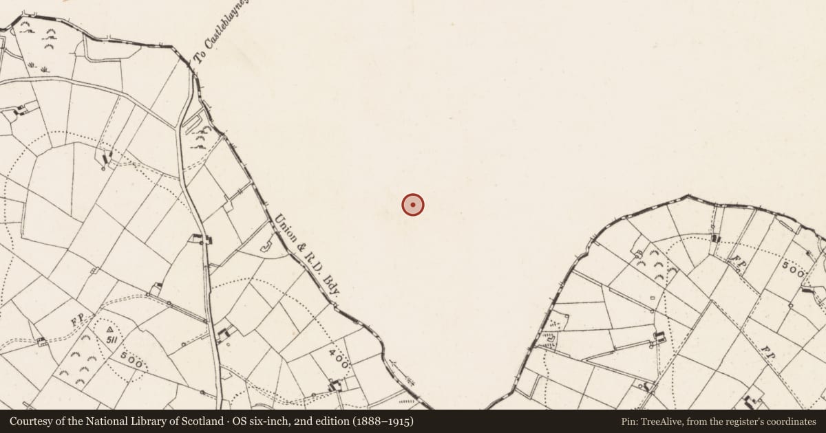 Ordnance Survey six-inch map, 2nd edition (1888–1915) covering the location of House - indeterminate date, Lisnadarragh, County Monaghan, with a pin at the register's coordinates