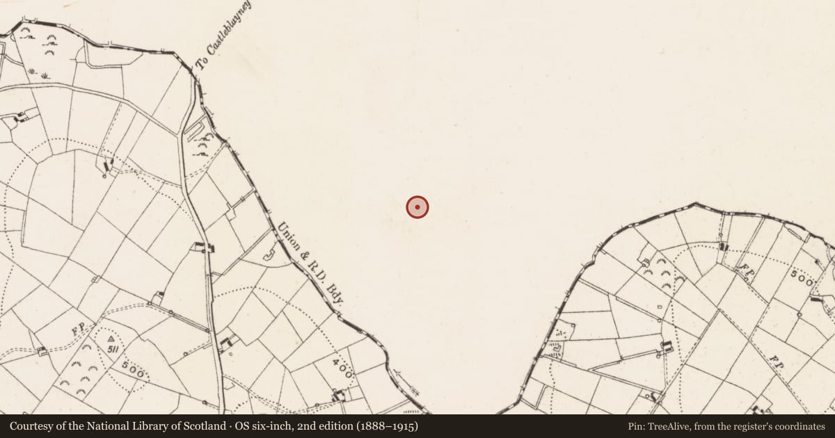 Ordnance Survey six-inch map, 2nd edition (1888–1915) covering the location of House - indeterminate date, Lisnadarragh, County Monaghan, with a pin at the register's coordinates