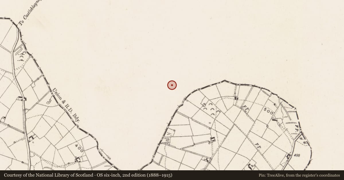 Ordnance Survey six-inch map, 2nd edition (1888–1915) covering the location of Ringfort - rath, Lisnadarragh, County Monaghan, with a pin at the register's coordinates