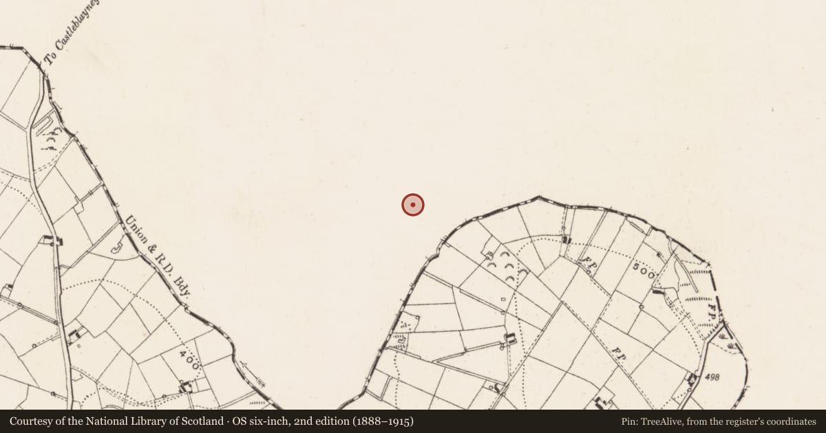 Ordnance Survey six-inch map, 2nd edition (1888–1915) covering the location of House - indeterminate date, Lisnadarragh, County Monaghan, with a pin at the register's coordinates