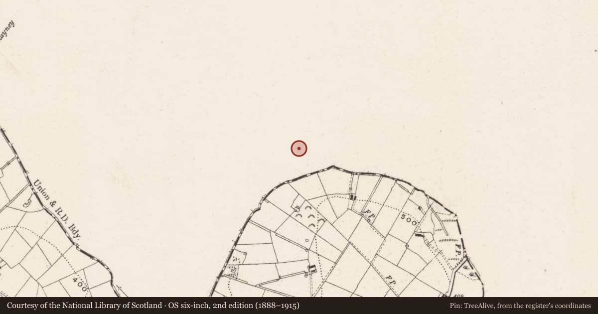 Ordnance Survey six-inch map, 2nd edition (1888–1915) covering the location of Megalithic tomb - wedge tomb, Lisnadarragh, County Monaghan, with a pin at the register's coordinates