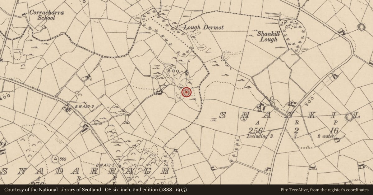 Ordnance Survey six-inch map, 2nd edition (1888–1915) covering the location of Ringfort - rath, Lisnadarragh, County Monaghan, with a pin at the register's coordinates