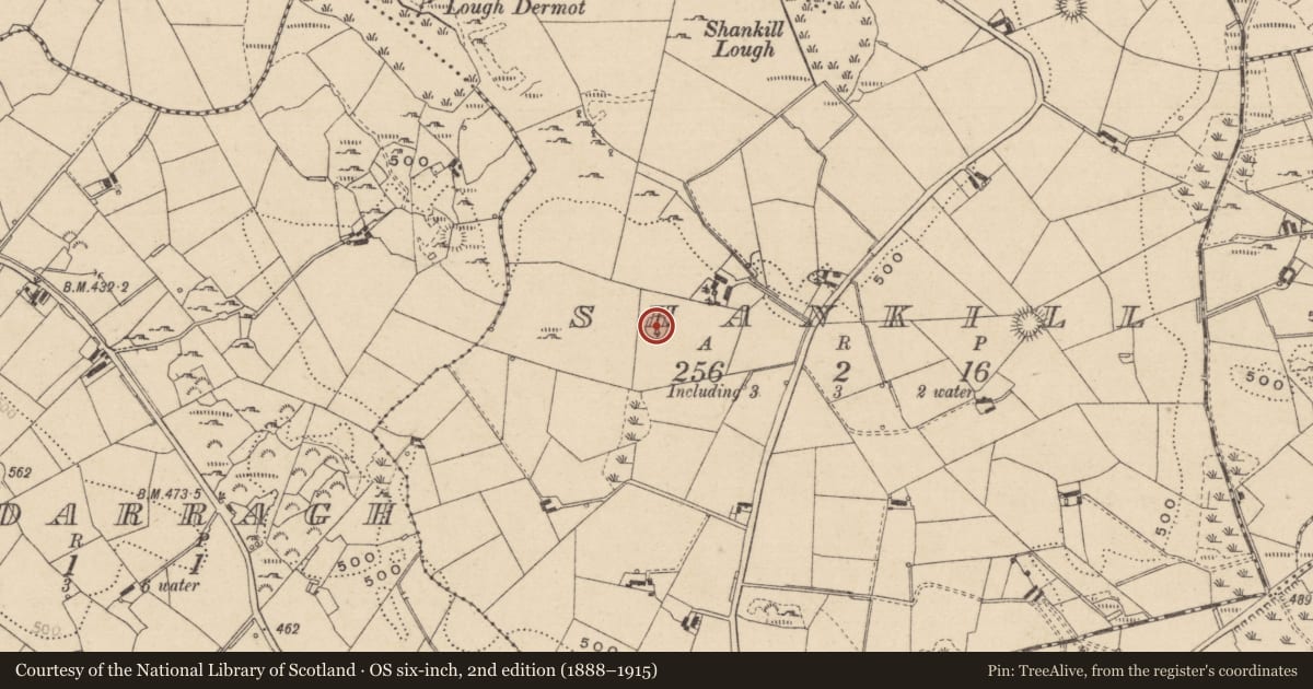 Ordnance Survey six-inch map, 2nd edition (1888–1915) covering the location of Ringfort - rath, Shankill, County Monaghan, with a pin at the register's coordinates