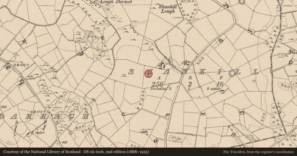 Ordnance Survey six-inch map, 2nd edition (1888–1915) covering the location of House - indeterminate date, Shankill, County Monaghan, with a pin at the register's coordinates