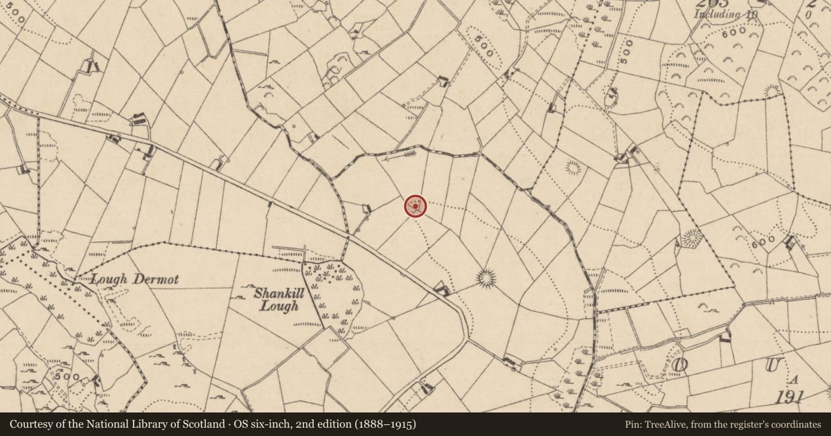 Ordnance Survey six-inch map, 2nd edition (1888–1915) covering the location of Ringfort - rath, Shankill, County Monaghan, with a pin at the register's coordinates