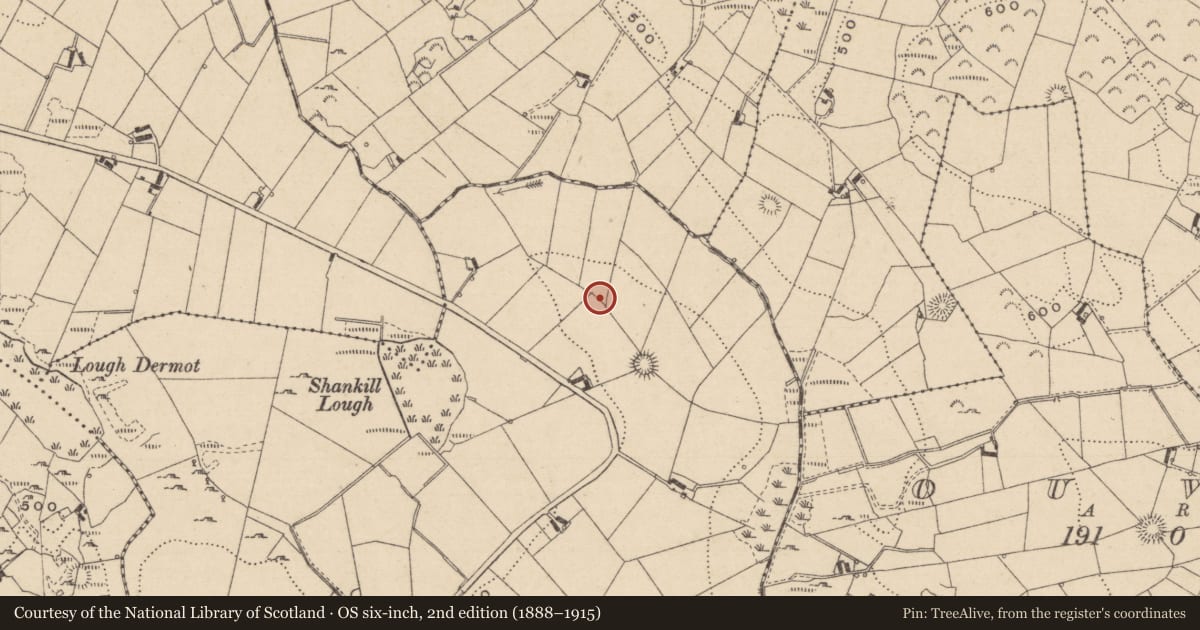 Ordnance Survey six-inch map, 2nd edition (1888–1915) covering the location of Ringfort - rath, Shankill, County Monaghan, with a pin at the register's coordinates