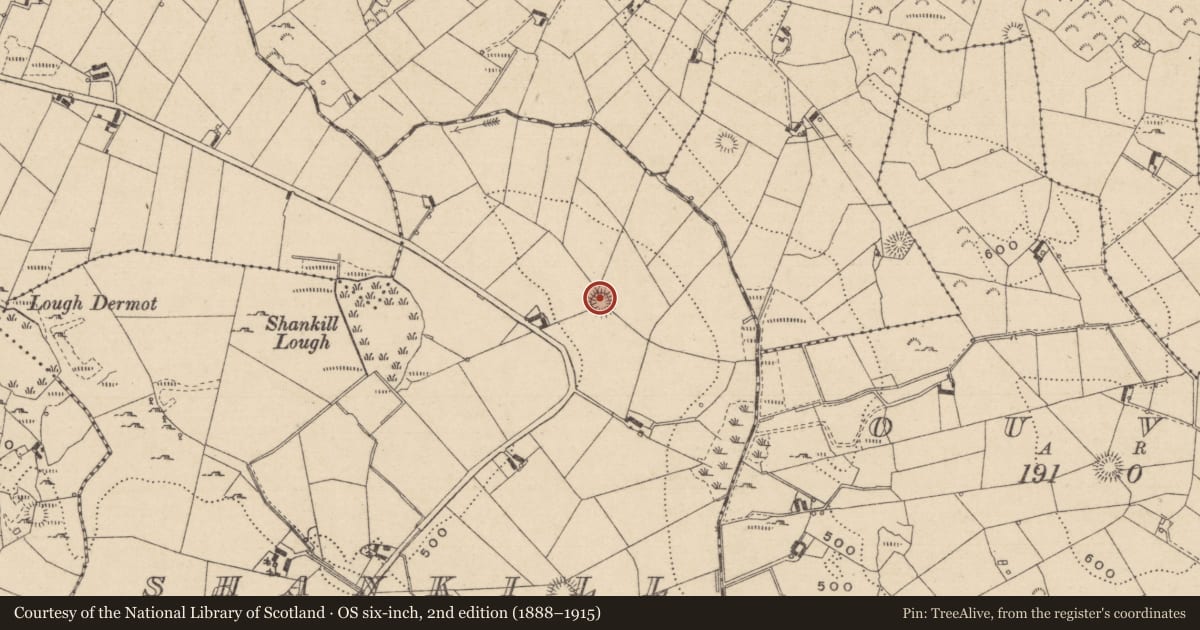 Ordnance Survey six-inch map, 2nd edition (1888–1915) covering the location of Ringfort - rath, Shankill, County Monaghan, with a pin at the register's coordinates