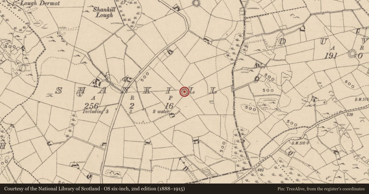 Ordnance Survey six-inch map, 2nd edition (1888–1915) covering the location of Ringfort - rath, Shankill, County Monaghan, with a pin at the register's coordinates