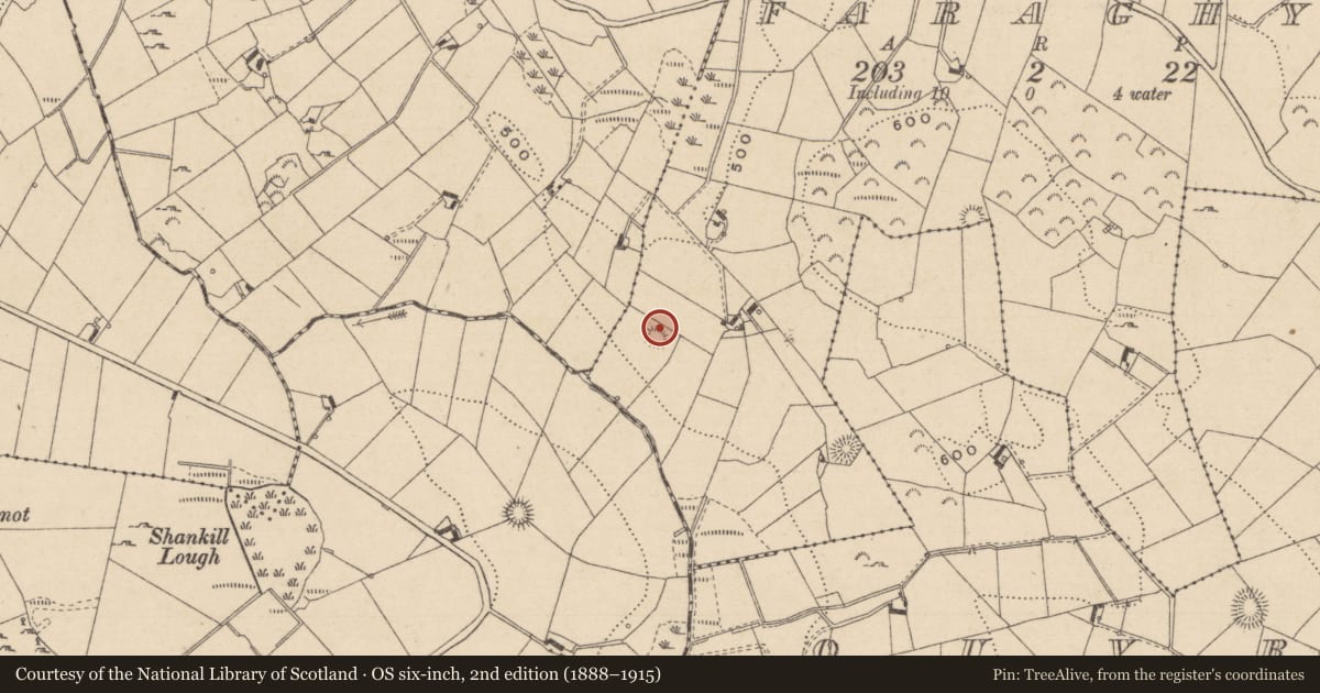 Ordnance Survey six-inch map, 2nd edition (1888–1915) covering the location of Ringfort - rath, Faraghy, County Monaghan, with a pin at the register's coordinates