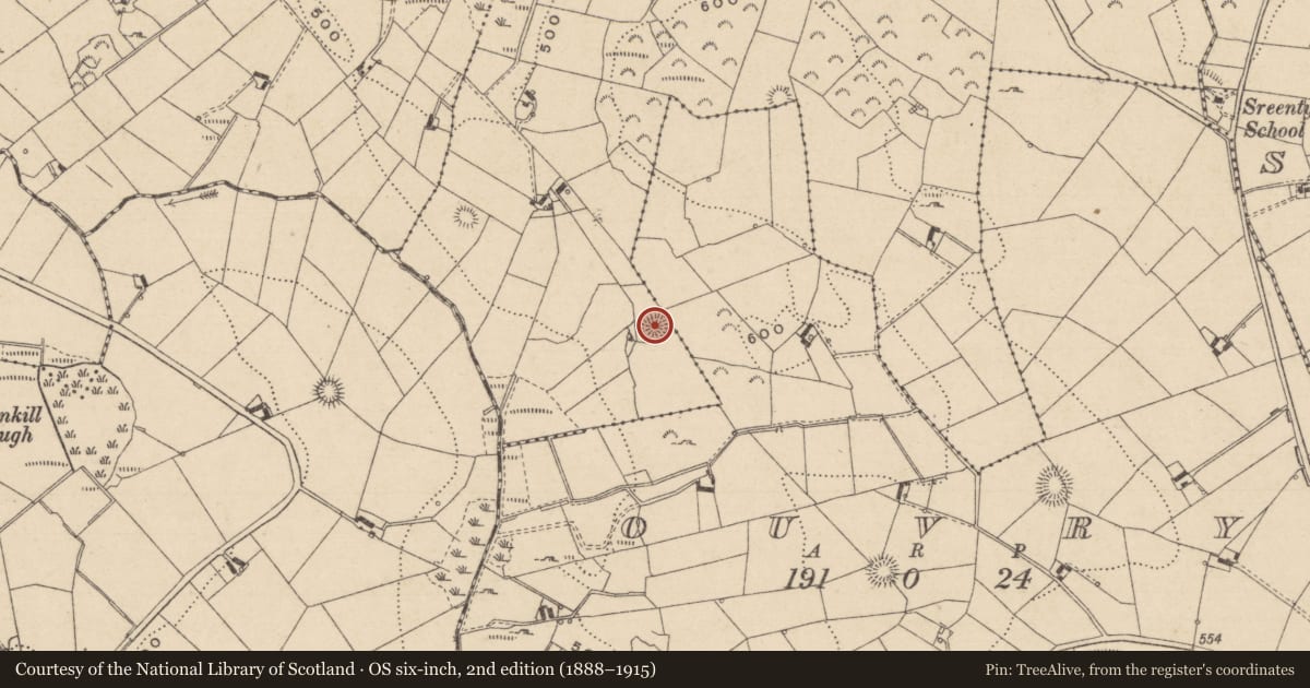 Ordnance Survey six-inch map, 2nd edition (1888–1915) covering the location of Ringfort - rath, Faraghy, County Monaghan, with a pin at the register's coordinates