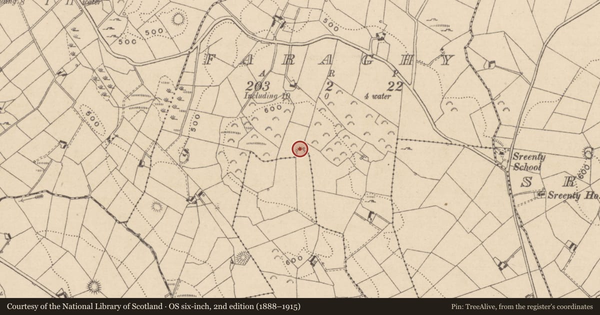 Ordnance Survey six-inch map, 2nd edition (1888–1915) covering the location of Ringfort - rath, Faraghy, Ouvry, County Monaghan, with a pin at the register's coordinates