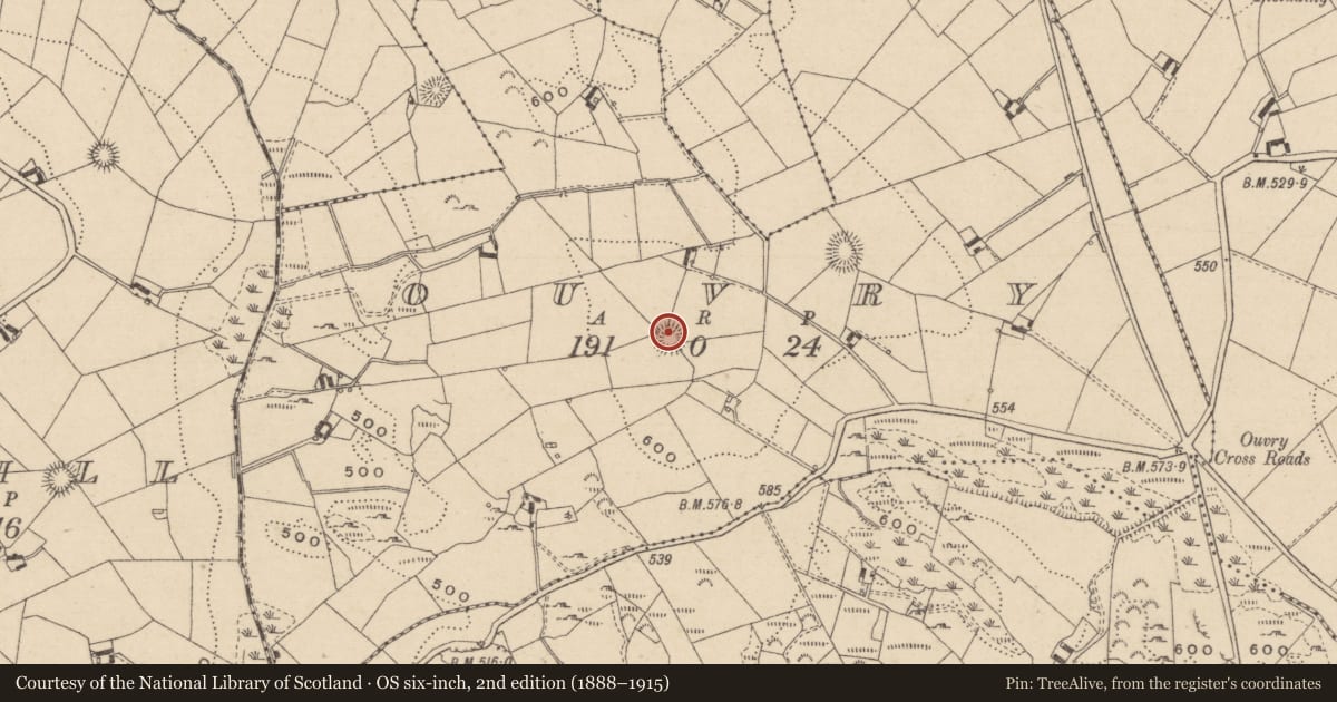 Ordnance Survey six-inch map, 2nd edition (1888–1915) covering the location of Ringfort - rath, Ouvry, County Monaghan, with a pin at the register's coordinates